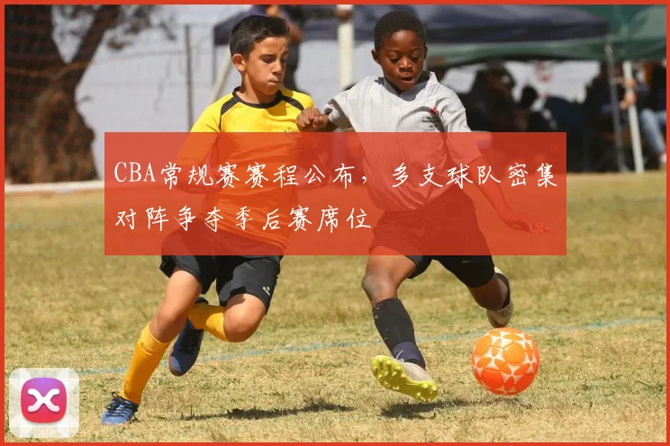 CBA常规赛赛程公布，多支球队密集对阵争夺季后赛席位